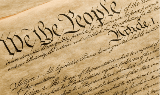 Illustration of the Constitution